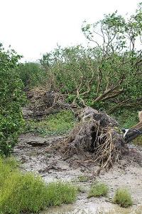 Florida Hurricane damage