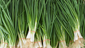 Farmers Market_Jennings County_Green Onions