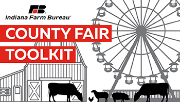 County Fair Toolkit_Ferris Wheel Barn Farm Animals